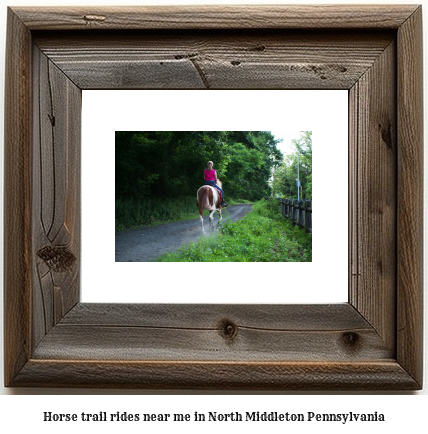 horse trail rides near me in North Middleton, Pennsylvania